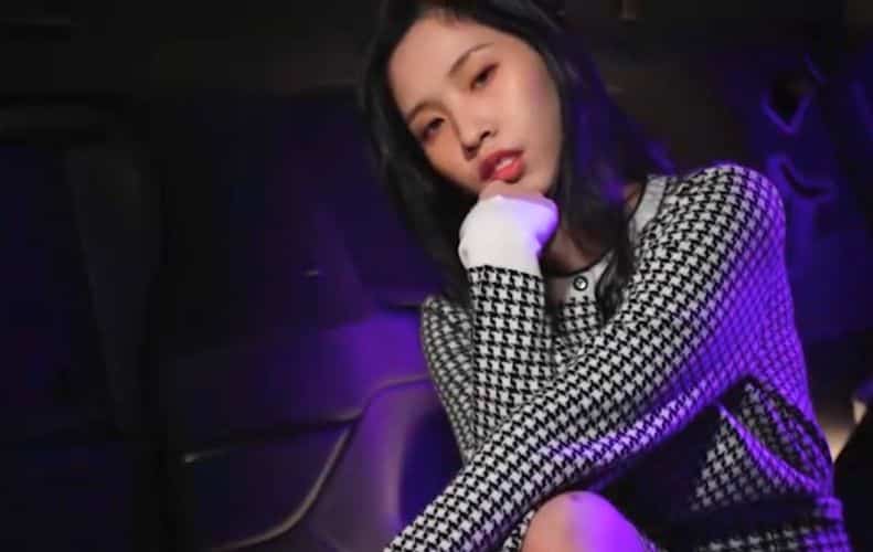 《完蛋我要成为导演了！》geimushe.com-slg游戏下载给亩社